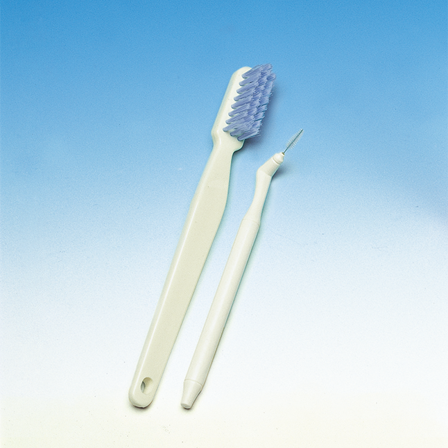 歯ブラシ模型 [PE-STP004]、歯間ブラシ模型 [PE-STP005]