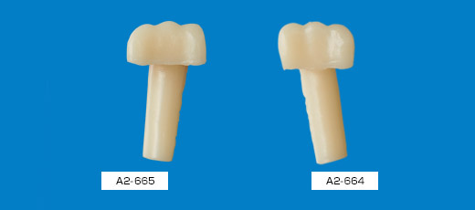 歯冠付き欠損プラグ(ネジ受けなし)[A2-664,665]