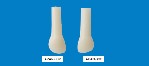 標準実習用模型歯乳歯 [A2AN-862,863]