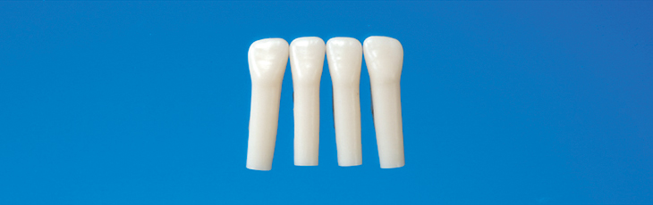 標準実習用模型歯 乳歯(ネジ受けなし) [A4-900]