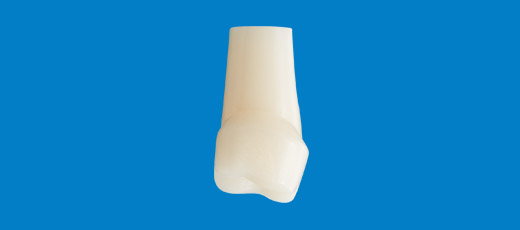 乳歯冠用支台歯形成歯 [A70AN-174]