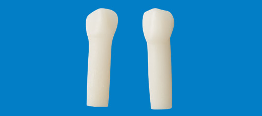 単根模型歯乳歯(ネジ受けなし) [A8-SW.K.12]