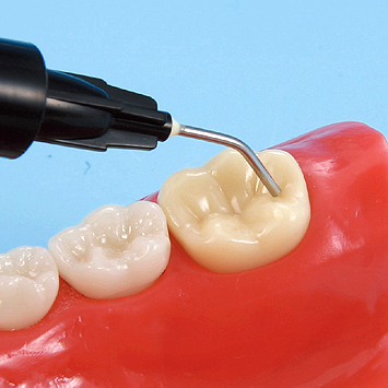 小児歯科実習用顎模型 [D7-407H](咬合器なし)