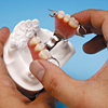 部分床義歯の診査・製作