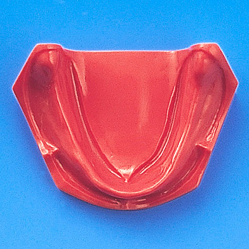1色レジン製無歯顎模型 [G1-402](咬合器なし)