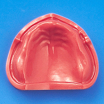 1色レジン製無歯顎模型 [G1D-402F](D咬合器つき)