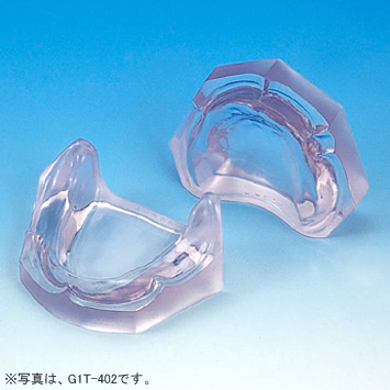 透明レジン製無歯顎模型 [G1TD-402](D咬合器つき)
