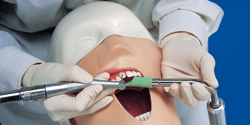 歯科学教育向け商品・実習模型