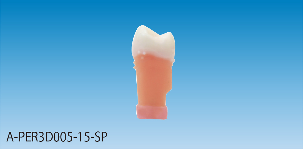 フレミタス用交換模型歯 [A-PER3D005-15-SP]