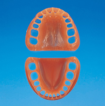 D18-500A用粘膜 [D18-500A-F-GUB]｜株式会社ニッシン｜歯科模型・歯科